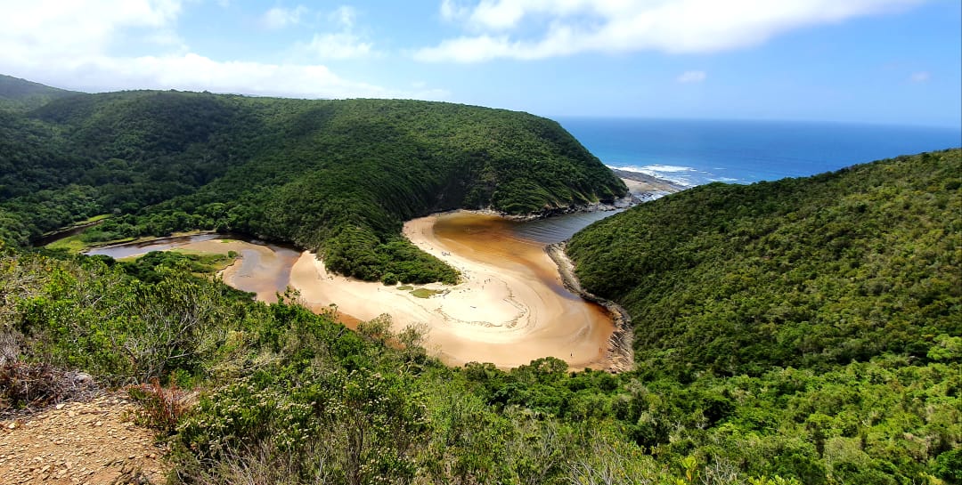 e0d53767 d8bd 48f0 b3c1 26fe516d2410